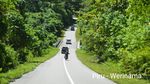 Mulus! Ini Lho Jalan Trans Maluku di Pulau Seram