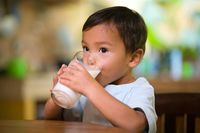 Membawa Si Kecil Mudik? Ini 5 Bekal yang Wajib Dibawa!