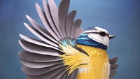 Pada awalnya Lisa Lloyd merupakan seorang animator dan direktur kreatif di sebuah perusahaan animasi di London. Namun setelah bergabung menjadi Anggota Paper Artists Collective, sebuah kelompok seniman kertas dunia, Lloyd semakin bersemangat melakukan berbagai eksperimen dengan model 3-dimensi. Salah satu hasil karyanya yang paling terkenal adalah kerajinan kertas berbentuk burung ini. Istimewa/Boredpanda.