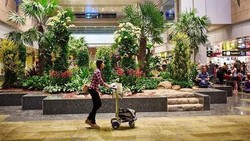 Jarang-jarang nih Bandara Changi Gangguan, Penumpang pun Kesal