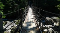 Begitu sampai di tempat ini, ada satu spot menarik yang wajib traveler sambangi yaitu Yodagawa Trail. Yodagawa Trail adalah jalan yang bisa mengantarkan Anda ke dataran tinggi yang ada di Yakushima. (Barbra Austin/CNN)