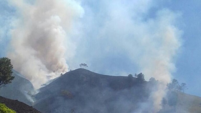 100 Ha Lahan di Pinggiran Danau Toba Terbakar