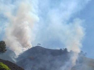 100 Ha Lahan di Pinggiran Danau Toba Terbakar