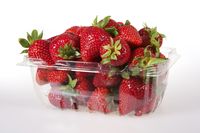 Bawa Bekal Buah Ini Selama Mudik untuk Tambah Energi dan Stamina Tubuh