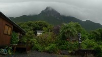 Yakhusima adalah sebuah pulau di lepas pantai selatan Kyushu, Prefektur Kagoshima, Jepang. Kawasan ini menawarkan keindahan alam yang belum rusak sama sekali alias masih asli. (Barbra Austin/CNN)