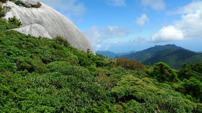 Yakushima, Sebuah Pulau Surga di Jepang