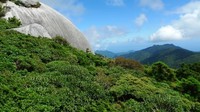 Dari atas sini traveler bisa melihat langsung keindahan surga Yakhusima. Lanskap hijau berpadu dengan indahnya langit biru. (Barbra Austin/CNN)
