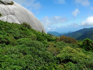 Yakushima, Sebuah Pulau Surga di Jepang