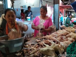 Harga Ayam Potong Broiler di Probolinggo Tembus Rp 50 Ribu/Kg