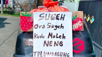 Tetap harus pulang. Foto: Internet