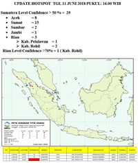 100 Ha Lahan di Pinggiran Danau Toba Terbakar