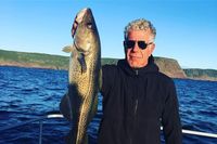Ini Isi Wawancara Anthony Bourdain yang Terakhir