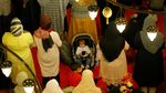 Suasana Salat Tarawih di Masjid Suleymaniye di Turki