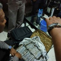 Ada juga kulit reptil yang diawetkan