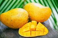 Bawa Bekal Buah Ini Selama Mudik untuk Tambah Energi dan Stamina Tubuh