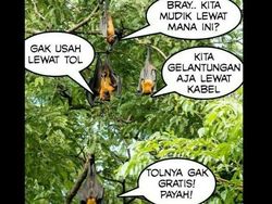 Kumpulan Meme Heboh Tol Jokowi