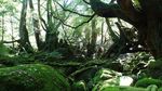Foto: Pulau Surga Ala Jepang