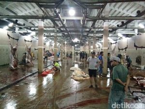 Ingat! Warga Surabaya Dilarang Cuci Rumen Hewan Kurban di Sungai