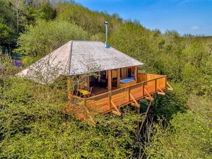 Rumah Pohon Keren di Inggris, Kayak Hotel Bintang 5!