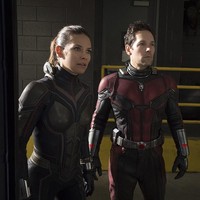 Paul Rudd pemeran Ant-Man harus latihan untuk membentuk otot dada, bisep dan perut. Untuk itu dia intens olahraga di bawah pengawasan personal trainer Richard Louis. Paul juga mengonsumsi tiga butir telur, protein shake, salad, memperbanyak asupan protein serta hanya ngemil kacang-kacangan seperti almond dan walnut. Foto: imdb.