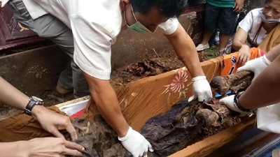 Foto: Ritual Ganti Baju Jenazah Orang Toraja