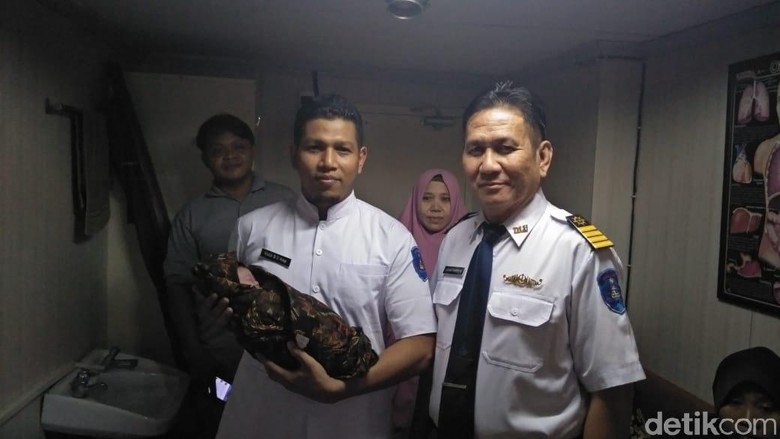 Bayi Kirana Gratis Naik Kapal Seumur Hidup Bayi Kirana Gratis Naik Kapal Seumur Hidup