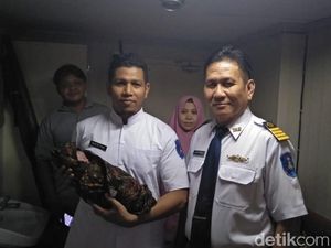 Ini Nama Bayi yang Lahir di Kapal Merak-Bakauheni