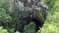 Gua Jomblang berlokasi di Jetis Wetan, Kecamatan Semanu, Kabupaten Gunungkidul, DI Yogyakarta. Gua Jomblang itu merupakan gua yang terhubung dengan gua-gua lain. (Febrinter/dTraveler)