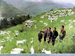 Propaganda Korea Utara yang Ketahuan Pakai Photoshop