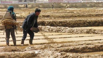 Penampakan petani di Korut yang kabarnya sering dilanda kelaparan. Foto: Getty Images