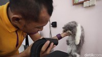 Selama menginap di Pet Hotel hewan-hewan peliharaan ini akan dilayani layaknya seperti di hotel bintang lima. Mereka akan dimandikan dan dikeringkan, juga diberi makan secara teratur. Bahkan Pet Hotel juga memiliki fasilitas spa untuk hewan-hewan peliharaan ini.