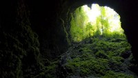 Setelah masuk gua, saatnya menjelajahi hutan purba dan memasuki lorong sepanjang 300 meter ke Gua Grubug. Di sanalah terlihat fenomena yang dikenal sebagai cahaya surga (Leonard Anthony/dTraveler)