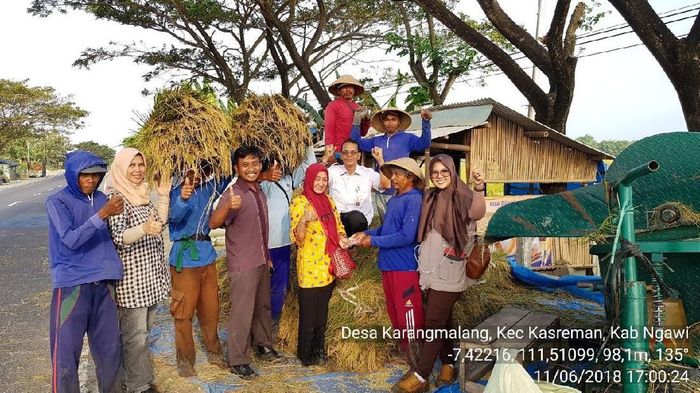 Foto: Dok. Kementan Foto: Dok. Kementan