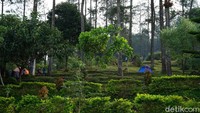 Kita bisa berfoto-foto di spot-spot cantik. Selain itu juga ada camping ground yang cocok digunakan untuk keluarga (Masaul/detikTravel)