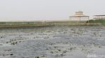Foto: Beginilah Danau Paling Luas di China