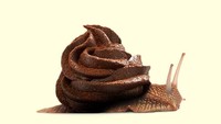 Kreatif! Siput berwarna cokelat ini, cangkangnya terbuat dari frosting krim cokelat lembut yang menyatu sempurna dengan bagian tubuh siput. Foto: Instagram @alessiofdesign