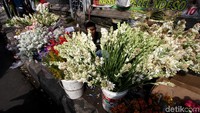 Dua hari jelang Lebaran ini, penjual bunga musiman kian menjamur.