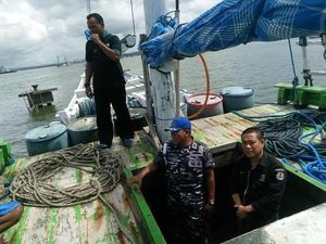 KLHK Dalami Kasus Kayu Ilegal Hasil Tangkapan TNI AL Kendari