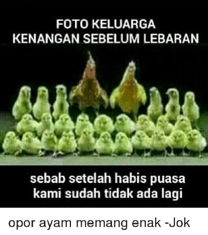 Jadi Incaran Saat Lebaran Lihat Kocaknya 10 Meme Opor Ayam