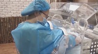 Peneliti mencatat ada kurang dari 2.000 ekor giant panda di seluruh dunia (Foto: Dok. Inside Edition)
