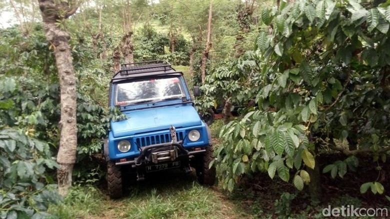 Kopeng Treetop Tiket & Aktivitas September 2019 - TravelsPromo