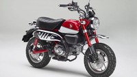 Honda Monkey mengambil bentuk sepeda motor klasik, tetapi dirampingkan ke dimensi kecil. Foto: Pool (Carscoops)