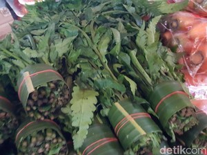 Cara Memasak Daun Pakis agar Empuk, Tidak Berlendir, dan Warnanya Tetap Hijau