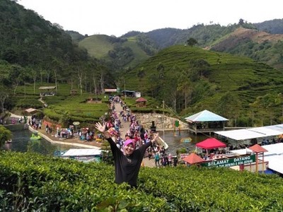 Mudik ke Brebes, Nikmati Kesejukan Kebun Teh Kaligua Mudik ke Brebes, Nikmati Kesejukan Kebun Teh Kaligua