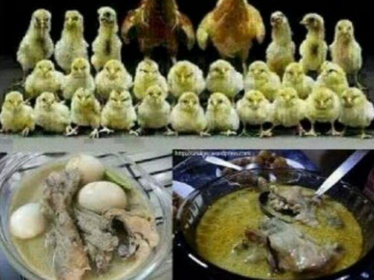 Meme Lebaran Ini Tak Lekang Oleh Waktu