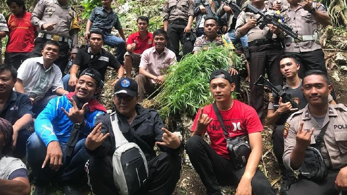 Polisi Temukan 1 Hektare Ladang Ganja di Nias