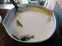 Segar Manis Es Cendol untuk Open House Bisa Dibikin dengan Cara Ini