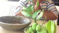 Video makan Mala biasanya diawali salam “Kapunkap, Sawadikap, makan lahap.” Pilihan makanannya pun cukup nyeleneh seperti rujak mangga, cermai dan belimbing mentah yang kulitnya tidak dikupas dulu. Foto: Instagram malabarbie91