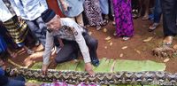 Mitos Angker di Lokasi Ular Sanca Makan Wanita Bulat-bulat