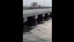 Detik-detik Kemunculan Buaya di Pondok Dayung Tanjung Priok